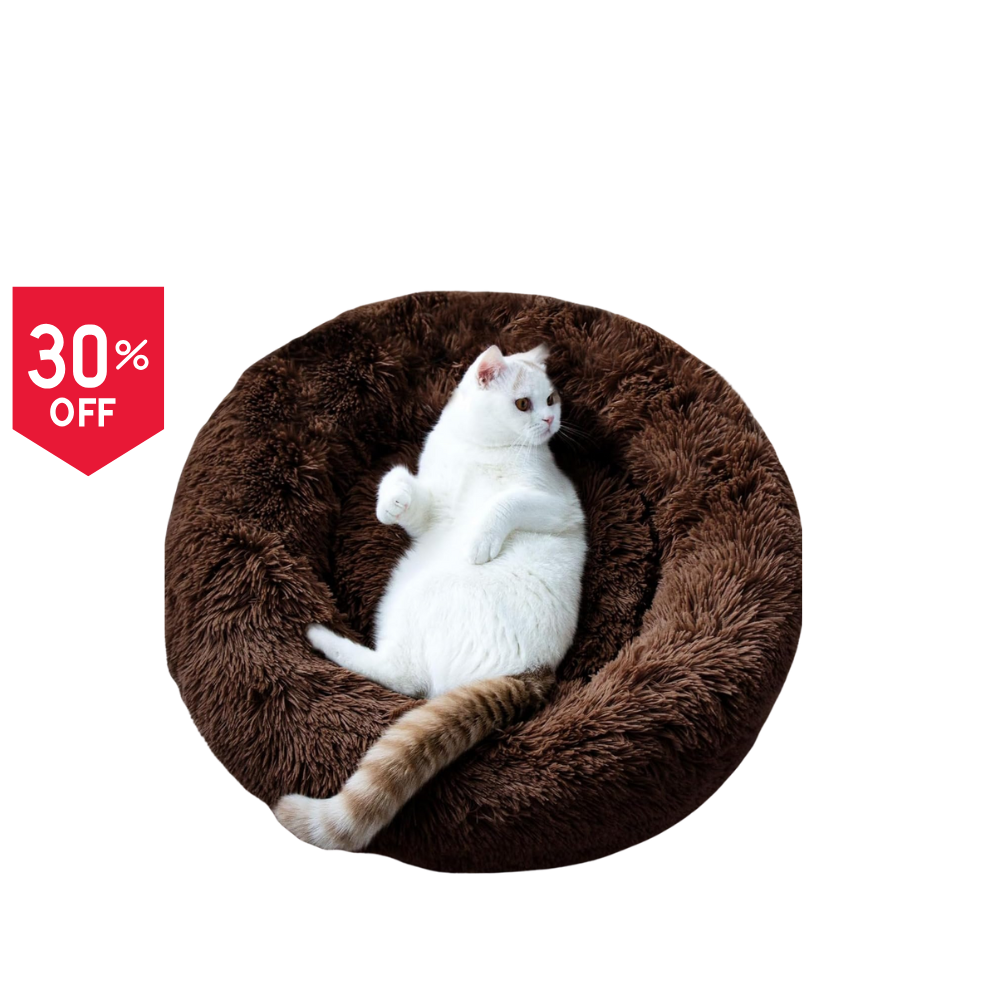 Cozy Cat Nest