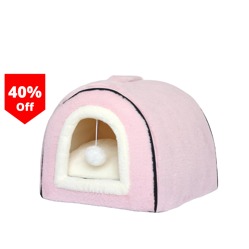 Luxury Cat Condo