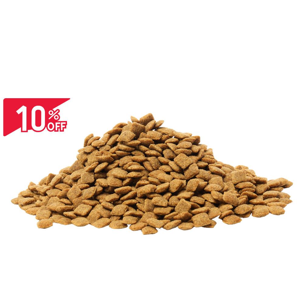 Cat Food