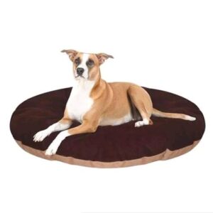 Dog Bed Ensures Long-Lasting