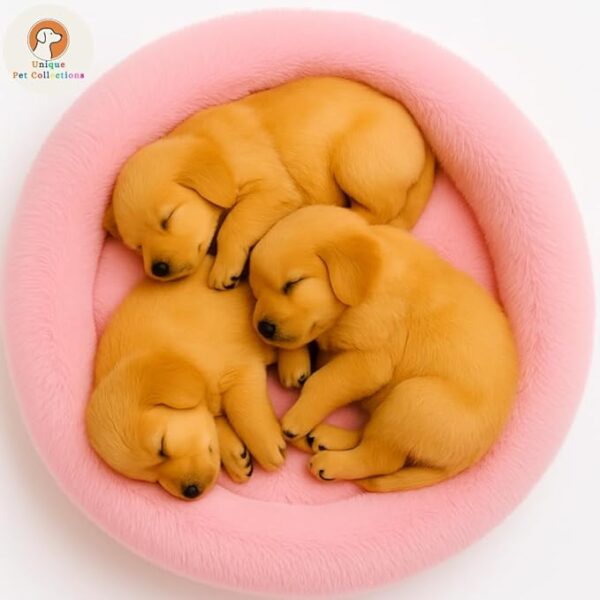 Dog Bed for Small & Medium Pets - Image 2