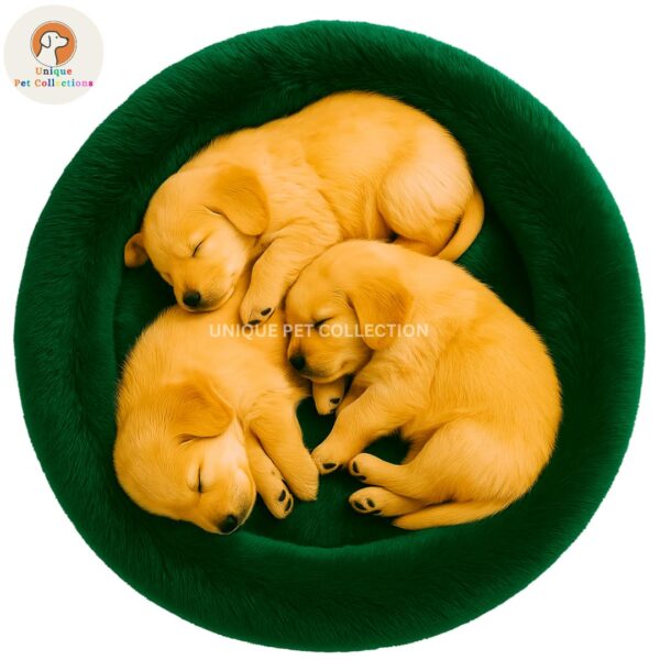 Dog Bed with Anti-Slip Base - Image 2