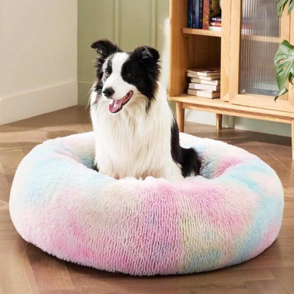 Bed for Cats and Puppies Dogs - Image 3