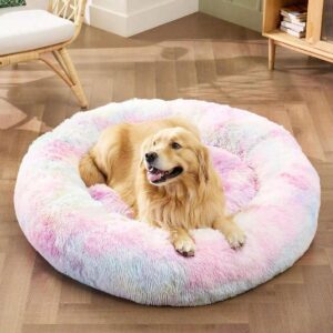 Bed for Cats and Puppies Dogs