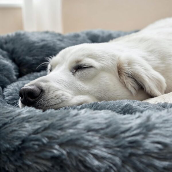 Calming Donut Bed For Dog - Image 7