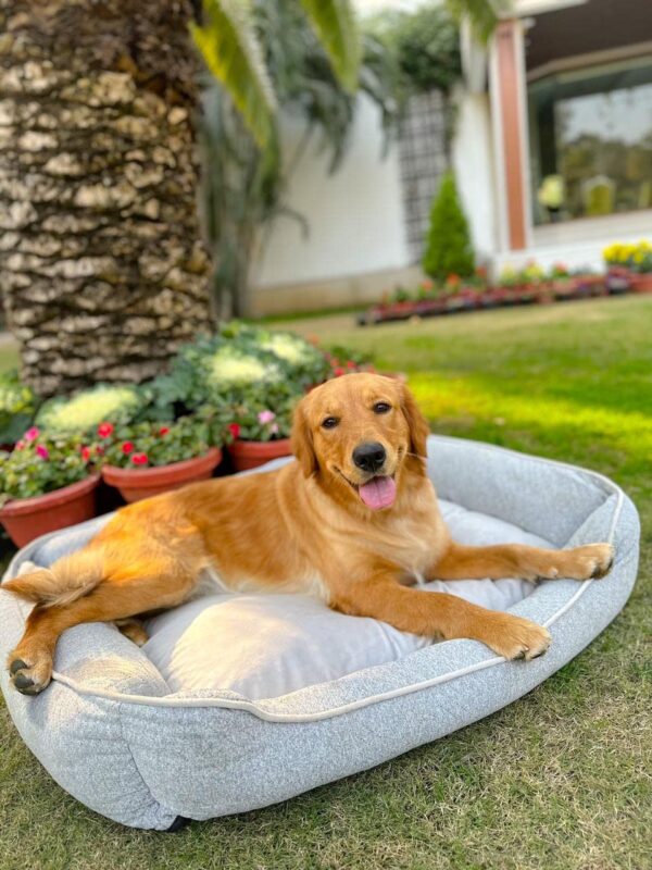 Ultra Soft Grey Bolster Pet Bed - Image 2