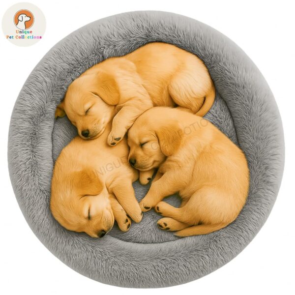 Lightweight Dog Bed - Image 4