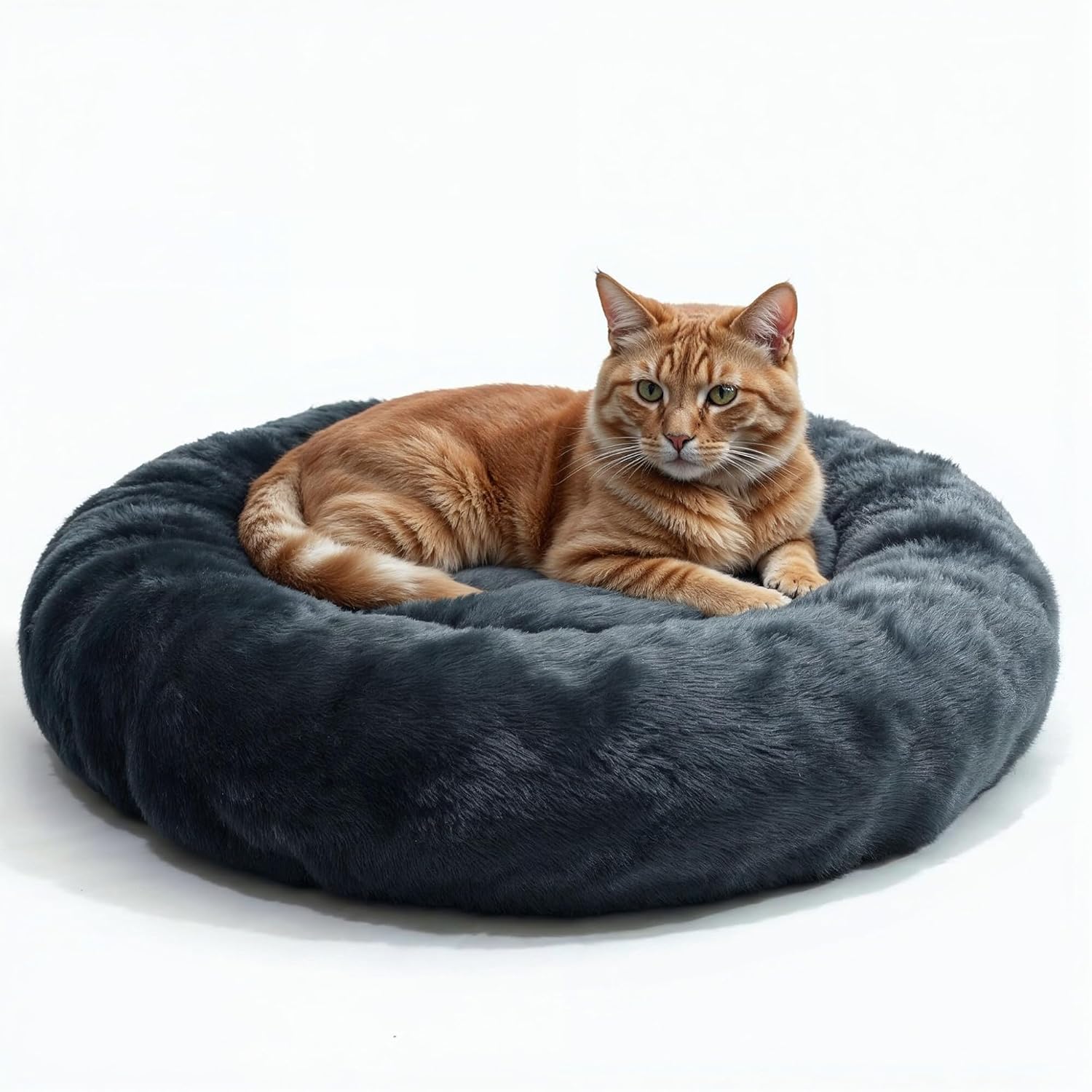 Cat Bed