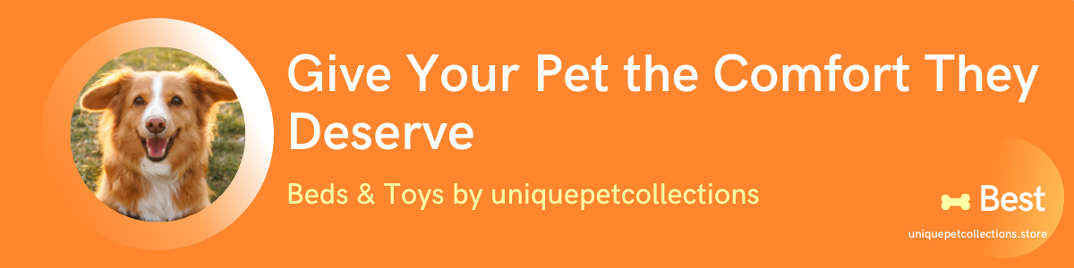 Pet Shop Banner